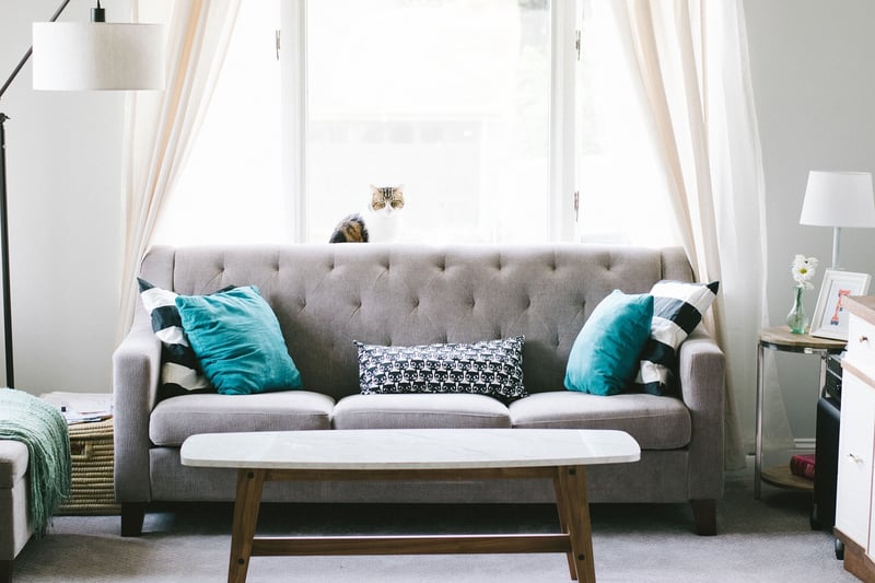 Cozy Pillows